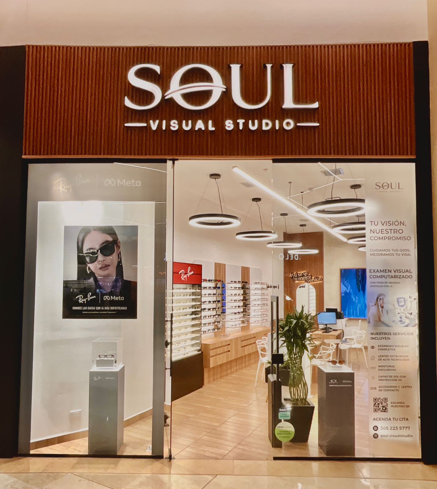 Soul Visual Studio