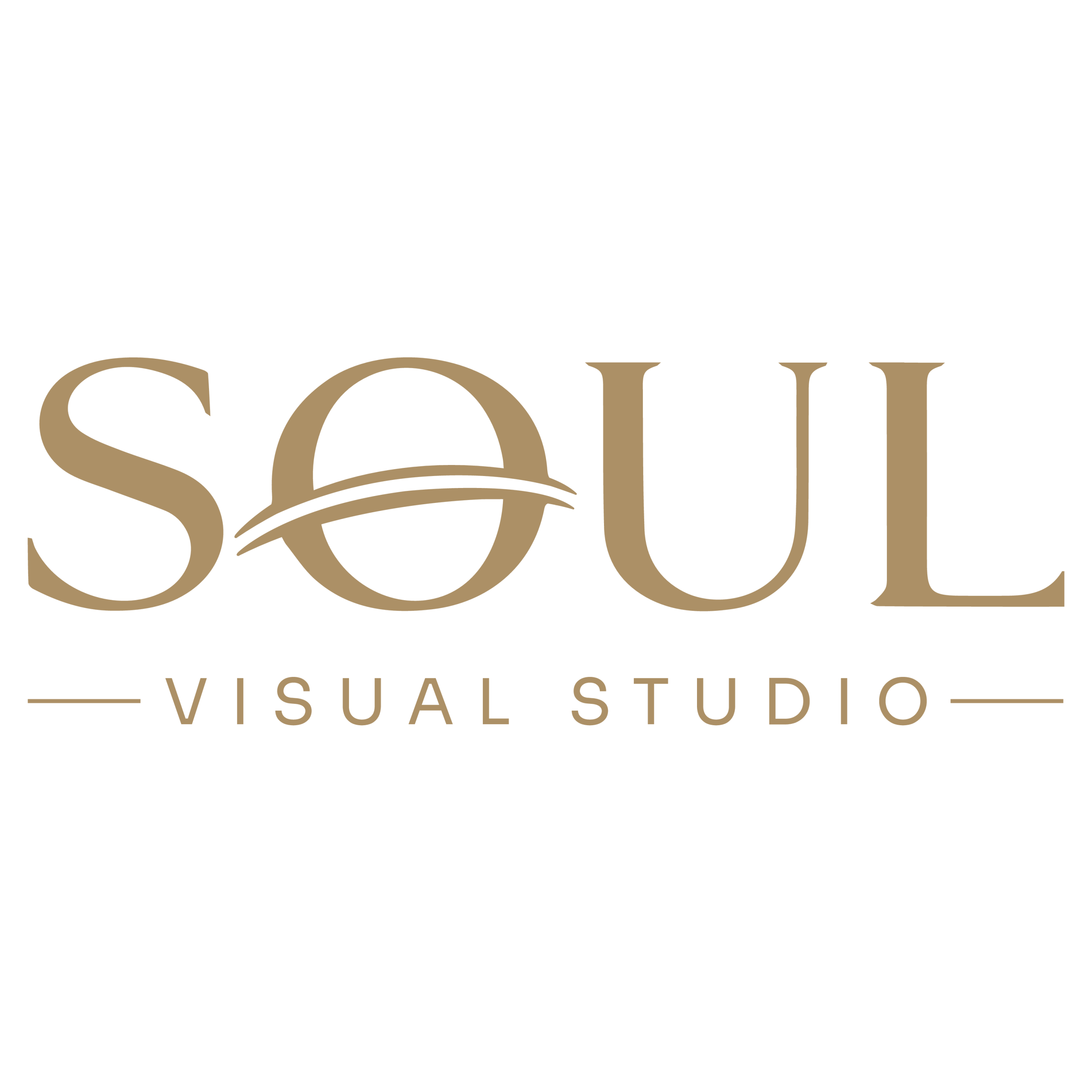 Soul Visual Studio